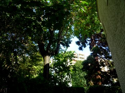 Résidences arborées au bout de la rue Rue Mallet-Stevens, … 