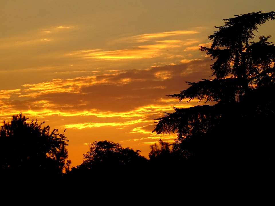 Lueurs au coucher de soleil sur le bois de Boulogne, depui… 