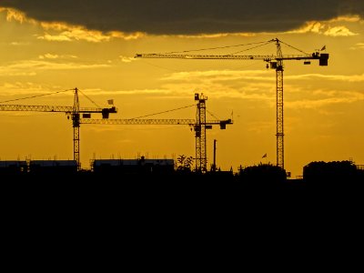 Trois grues dans le soleil couchant, vers Chelles, Seine-e… 