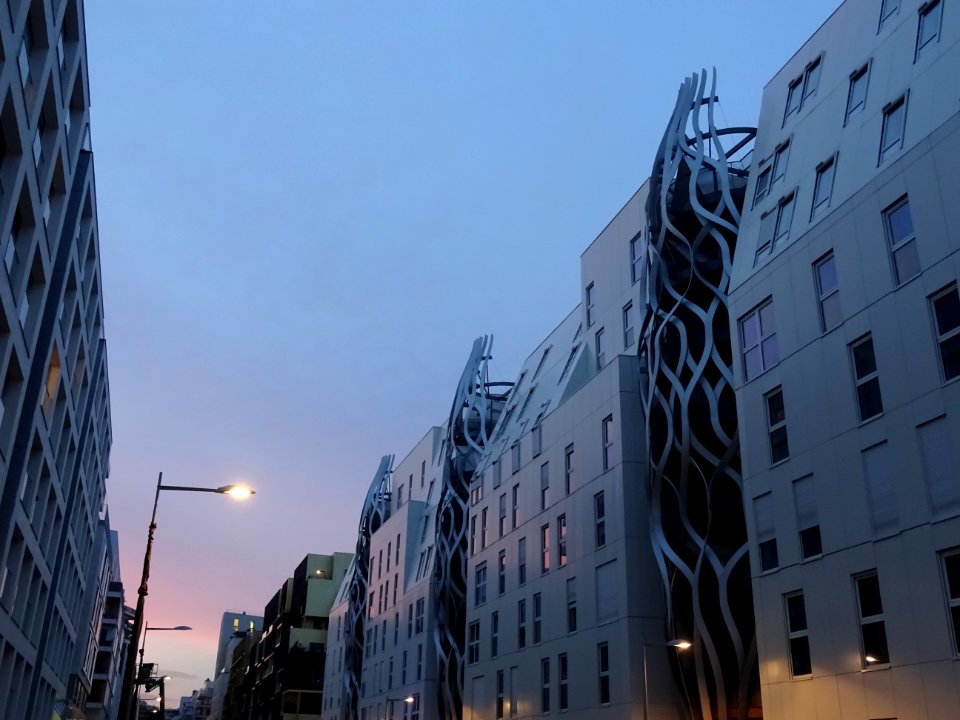 DSC04526 