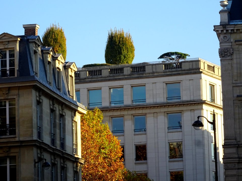 Une terrasse sur les toits, avec des arbres, près de l'Arc… 