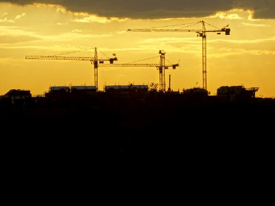 Trois grues dans le soleil couchant, vers Chelles, Seine-e… 