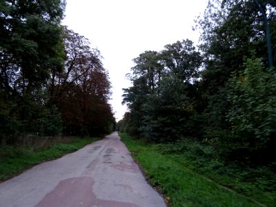 Avenue des Minimes, route-piste cyclable dans le Bois de V… 