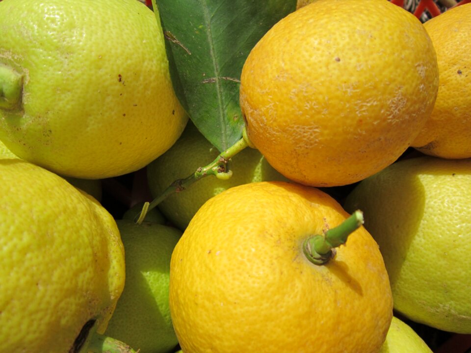 Sour fruit vitamins