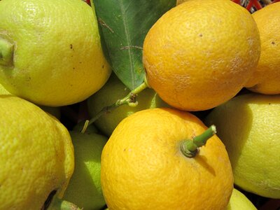 Sour fruit vitamins photo