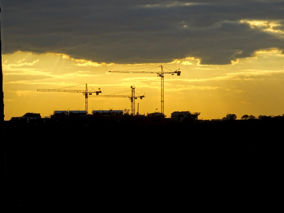 Trois grues dans le soleil couchant, vers Chelles, Seine-e… 
