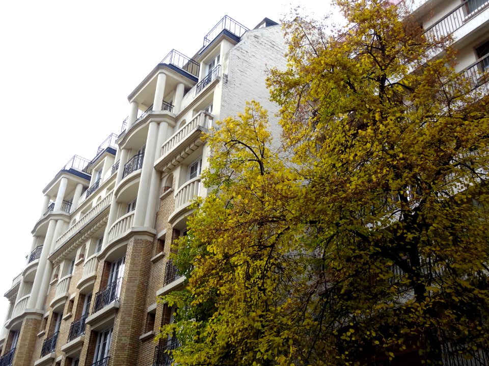 Immeuble à colonnes, 78 rue de Blomet, 15e arr., Paris 
