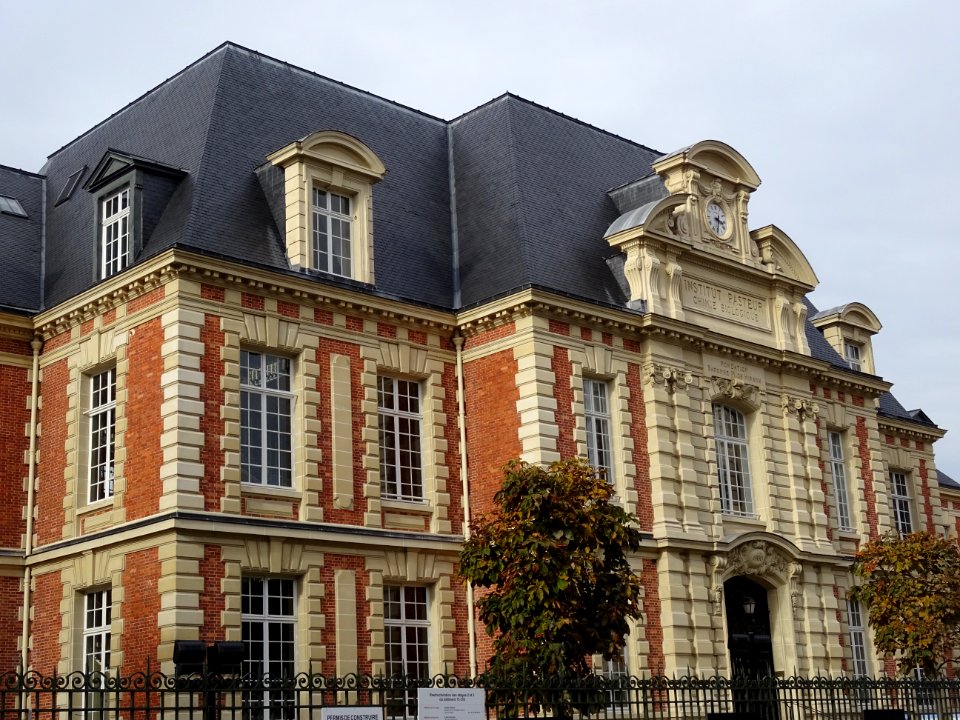 Institut Pasteur, Chimie biologique, fondation Baronne M. … 