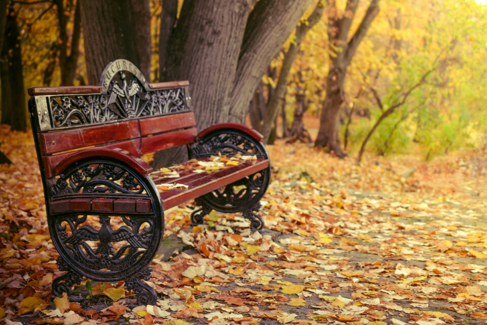 Forest tourist lifestyle