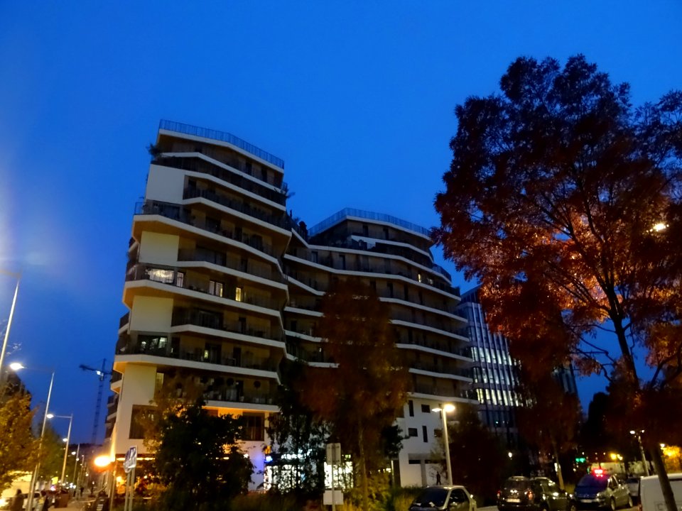 DSC04550 
