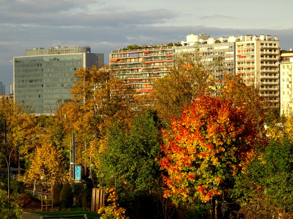 Immeubles du front de Seine et couleurs de l'automne, Boul… 