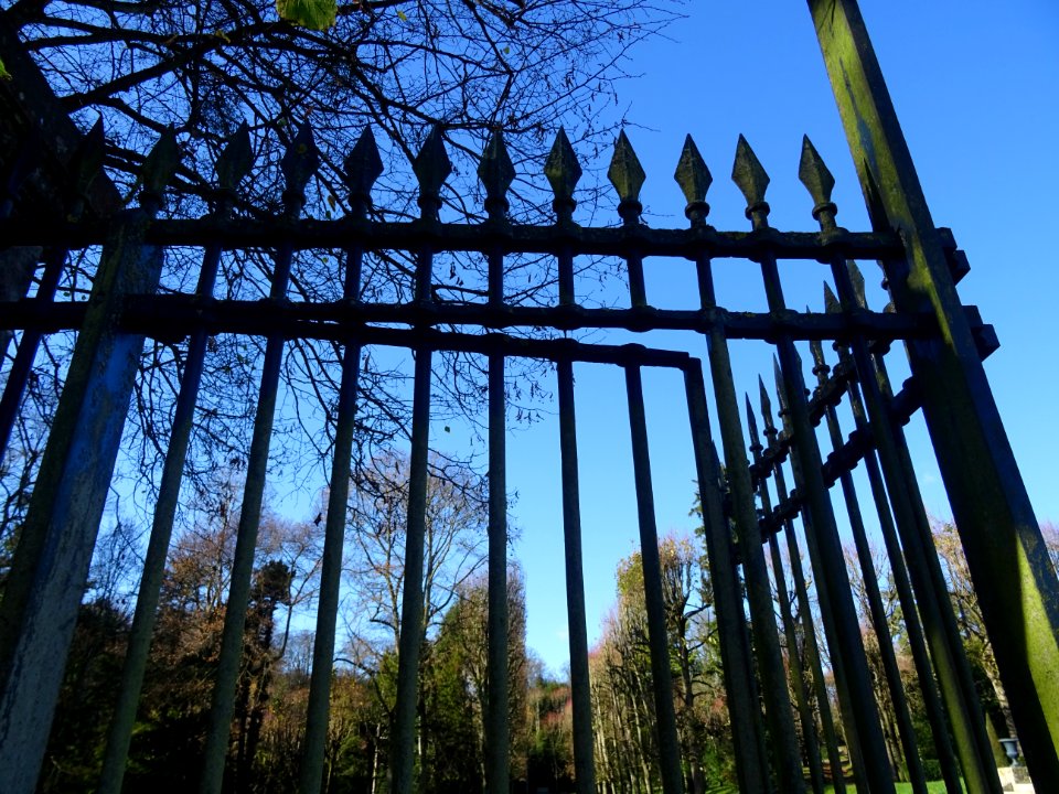 Grille dans le parc de Saint-Cloud, Saint-Cloud 