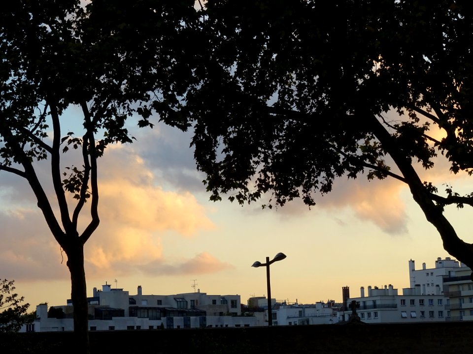 Lueurs du soir au-dessus du cimetière de l'Ouest, Boulogne… 