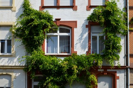 Window heidelberg apartment