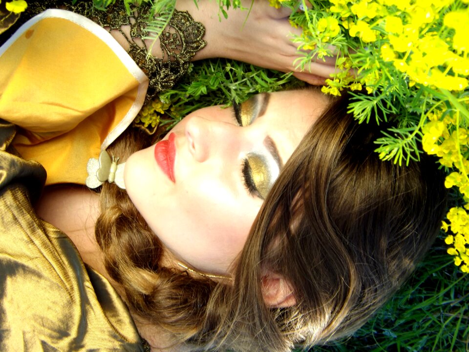 Flowers yellow beauty