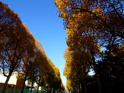 Avenue en allant vers Paris 