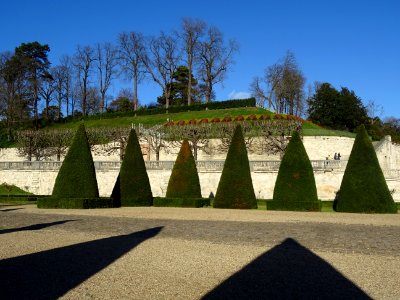 Ifs et jardins à la française, Parc de Saint-Cloud, Saint-… 