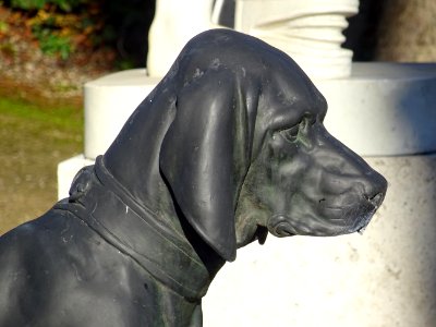Détail d'un chien en bronze, moulage des Chiens sculptés p… 
