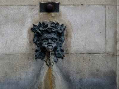 Fontaine Palatine, édifiée par la Princesse Anne de Bavièr… 