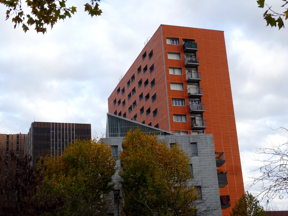 Barres d'immeubles, au 32 avenue de la Porte de Saint-Ouen… 