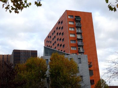 Barres d'immeubles, au 32 avenue de la Porte de Saint-Ouen… 