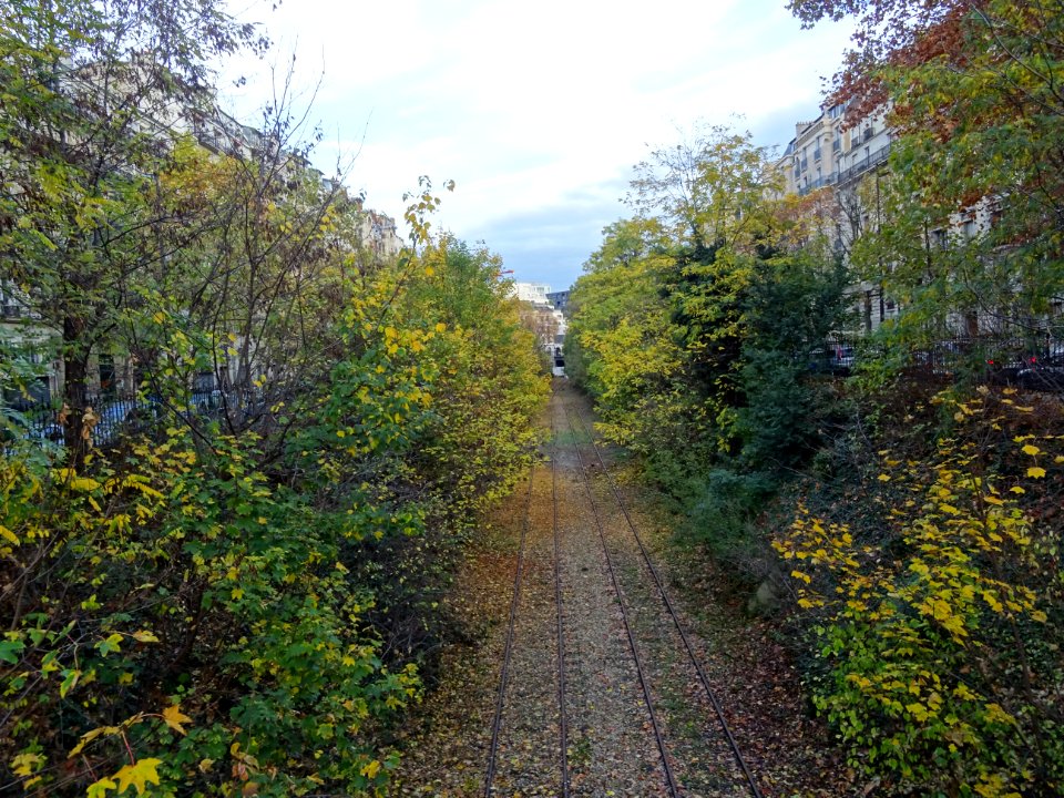 Rails abandonnés et trouée verte de la Petite Ceinture, 17… 