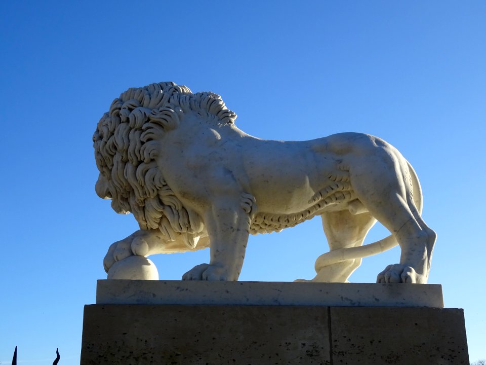 Sculpture en marbre Lion Médicis, XVIIIe siècle, Parc de… 