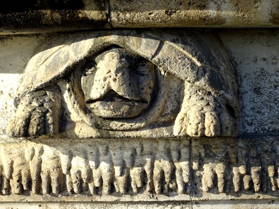 Tortue, La Grande Cascade, Parc de Saint-Cloud 