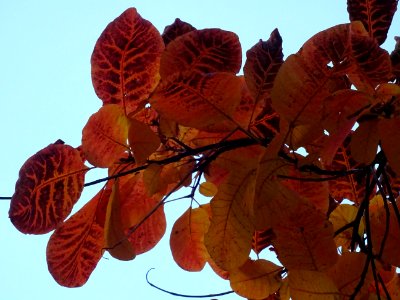 DSC04585 