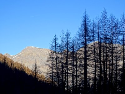 La Cime de la Condamine 