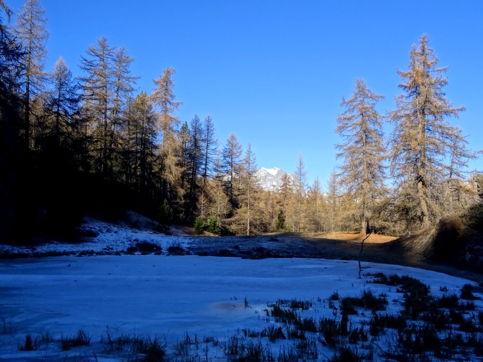 Lac des Charbonnières et le Mont Pelvoux 