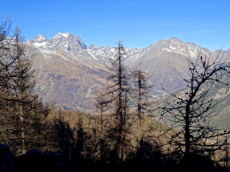 La vallée de la Vallouise, le Mont Pelvoux, les Clochers d… 