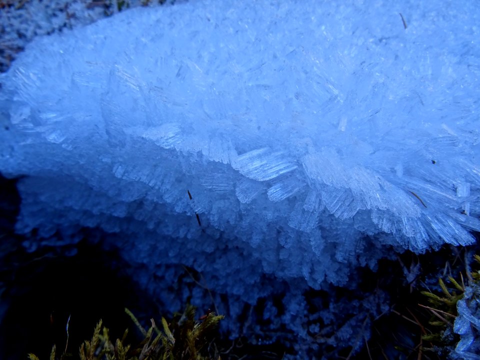 Cristaux de glace 