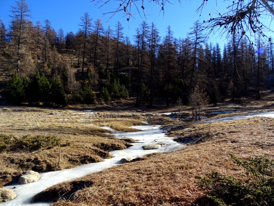 Ruisseau temporaire gelé 