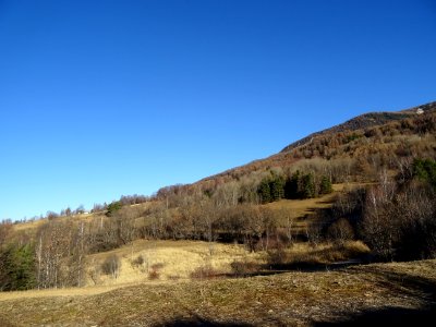 Prairies et bosquet, entre Les Plates, L'Ubac et le hameau… 