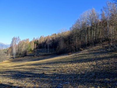 Prairie, Les Sagnières, Hautes-Alpes 