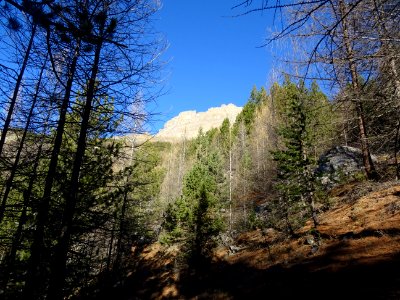 En regardant vers le haut, depuis le sentier en montant à … 
