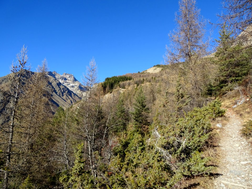 Le sentier en montant à la Cime de la Condamine 