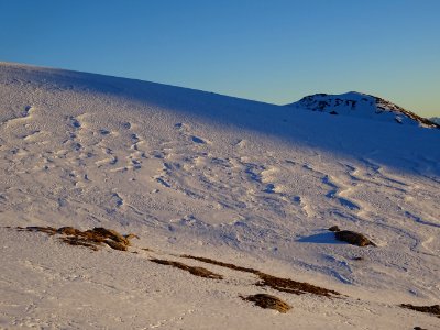 A l'heure avant le coucher du soleil, où la neige devient … 