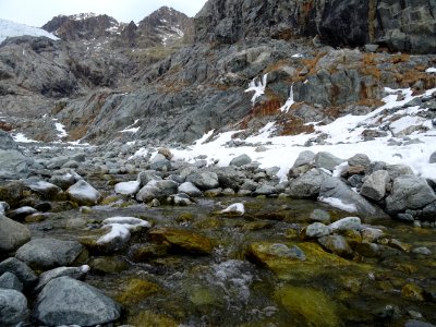 Traversée du torrent du Glacier Blanc 