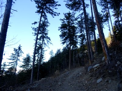 Descente en 4 ou 5 lacets raides via la forêt domaniale de… 