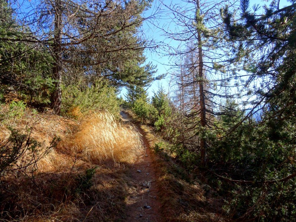 Le sentier en montant à la Cime de la Condamine 
