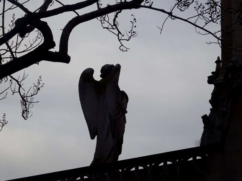 Un ange, église Saint-Germain-l'Auxerrois, place du Louvre… 