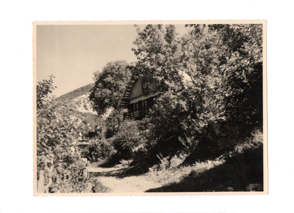 07_Chalet_PierreFeu_facade_ete 