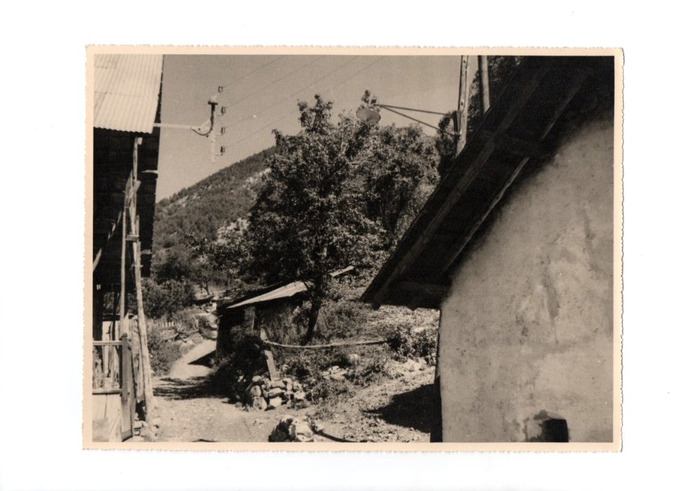 14_chapelle_abri_bois 