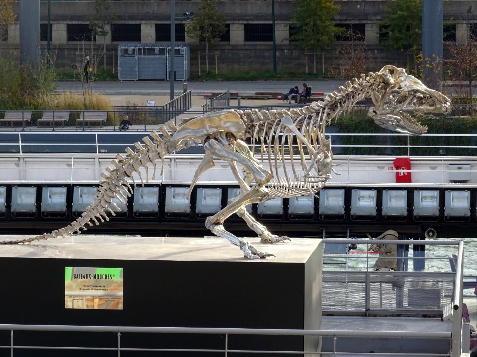 Sculpture d'un Tyrannosaurus Rex en aluminium et chrome, d… 