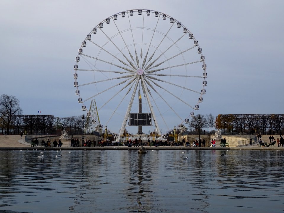 Grande roue de Parie et le bassin octogonal du Jardin des … 