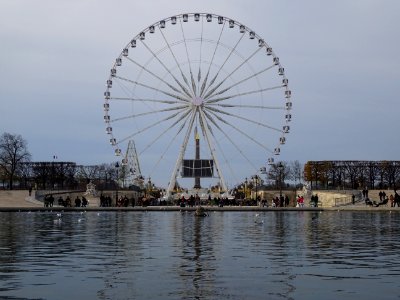 Grande roue de Parie et le bassin octogonal du Jardin des … 