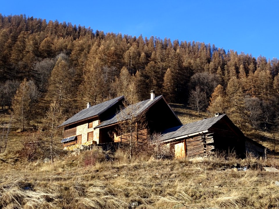 Chalets dans le vallon de Narreyroux 