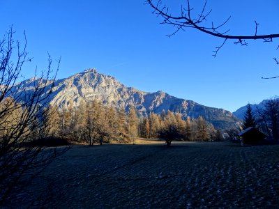 Le Montbrison 